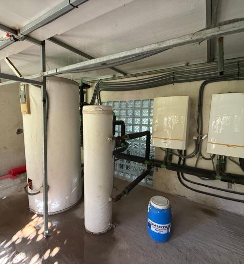 whatsapp image 2026 01 10 at 19.59.58zuz